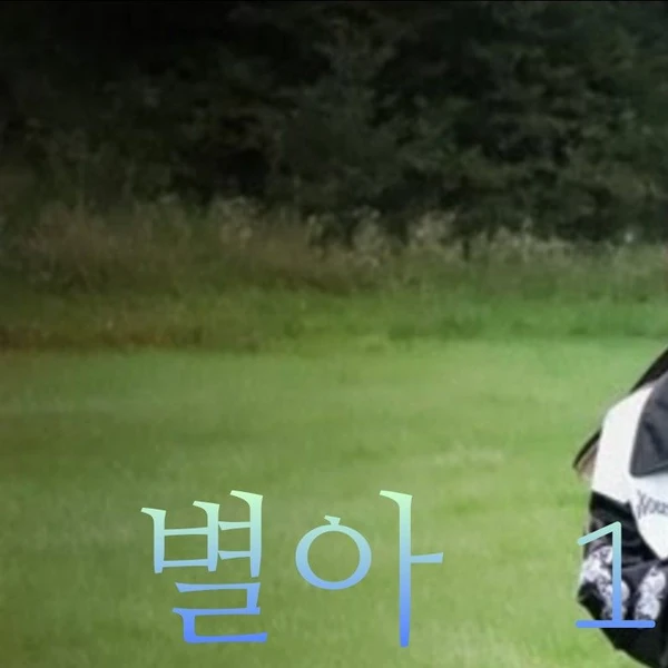 Popular profile picture of Solar (MAMAMOO) loved by fans