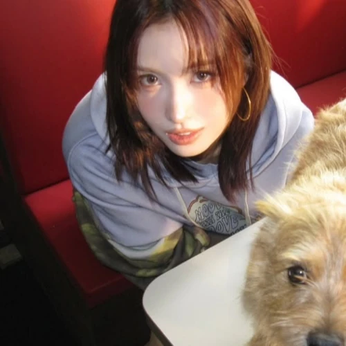 팬들이 뽑은 모모 (TWICE) 최고의 순간