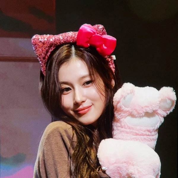 사나 (TWICE) 팬심 가득한 인기 사진