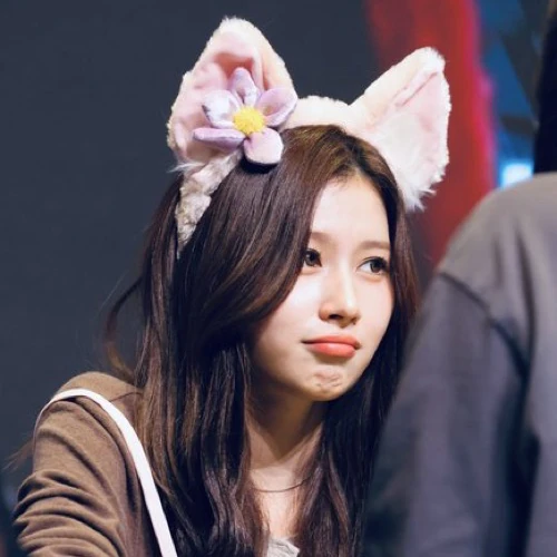 팬들이 뽑은 사나 (TWICE) 최고의 순간