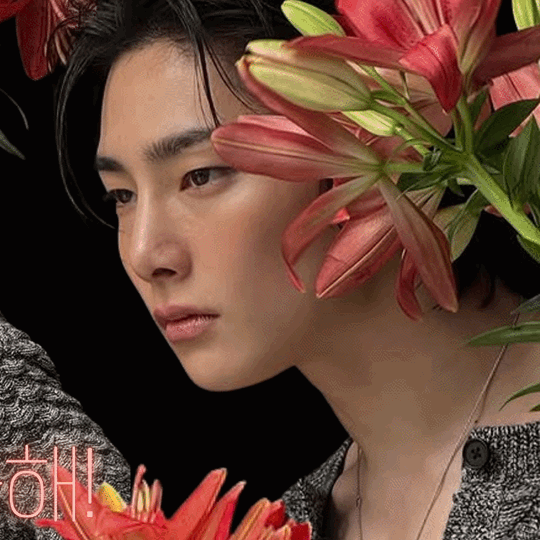 팬덤이 만들어낸 빛나는 아이엔 (Stray Kids)의 순간