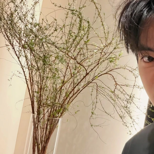 充满粉丝爱意的V (防弹少年团)人气照片