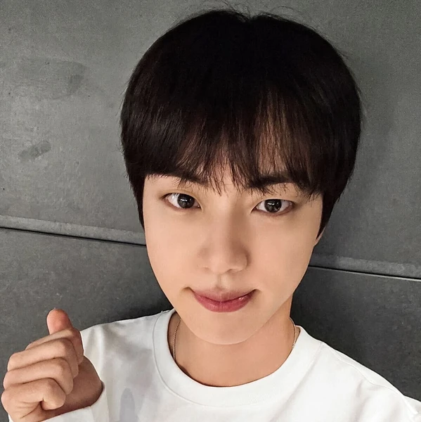 팬들이 뽑은 진 (방탄소년단) 최고의 순간