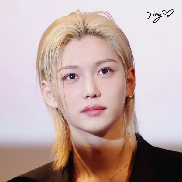 Fans' Pick: Best Moment of Felix (Stray Kids)