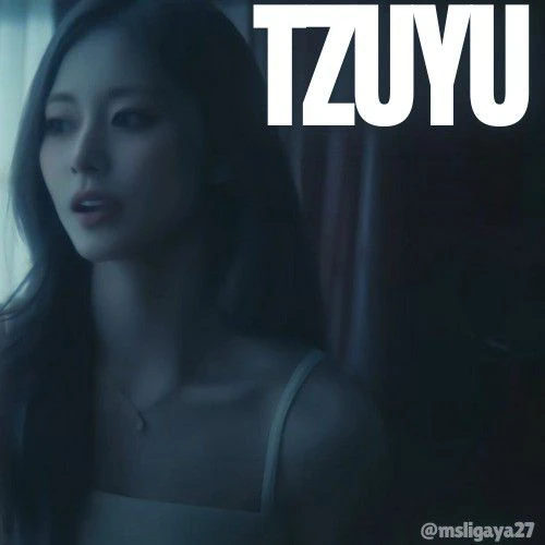 쯔위 (TWICE) 팬심 가득한 인기 사진