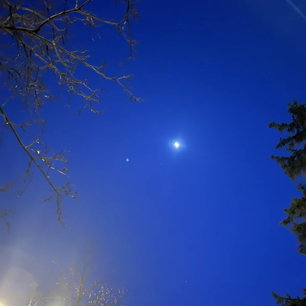 Top Photo Full of Moonbin (ASTRO) Love