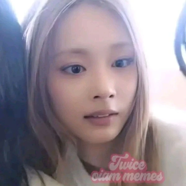 팬들이 뽑은 쯔위 (TWICE) 최고의 순간