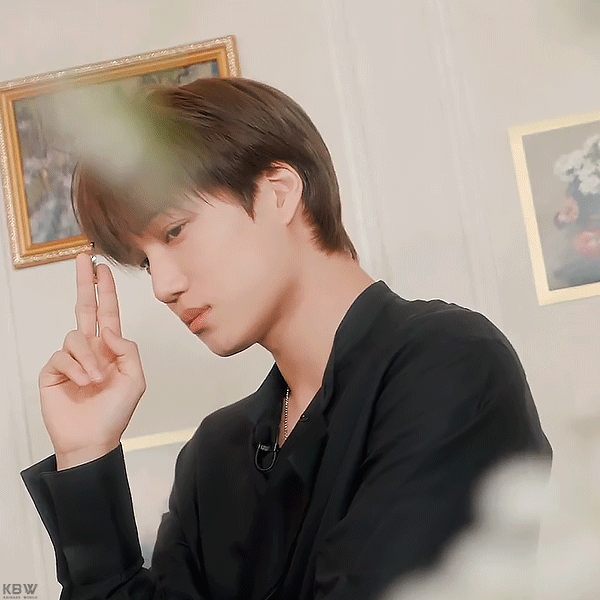 充滿粉絲愛意的Kai (EXO)人氣照片