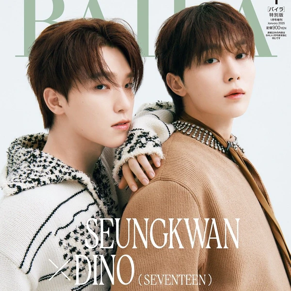 今天最受喜爱的胜宽 (SEVENTEEN)