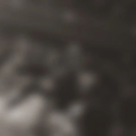 Fans' Pick: Best Moment of Hwasa (MAMAMOO)