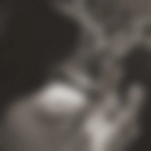 Fans' Pick: Best Moment of Hwasa (MAMAMOO)