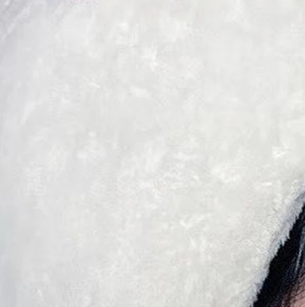 Fans' Pick: Best Moment of Choerry (ARTMS)