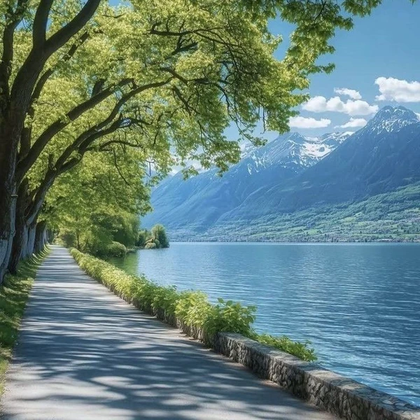 ジェニー (BLACKPINK)への愛が詰まった人気写真