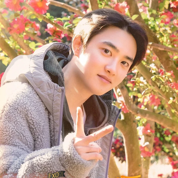 팬들이 뽑은 디오 (EXO) 최고의 순간