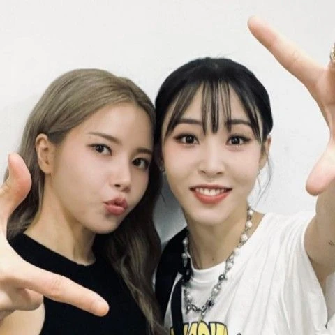 今天最受喜爱的玟星 (MAMAMOO)