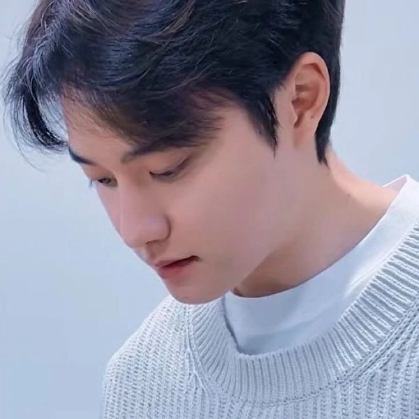 디오 (EXO) 팬심 가득한 인기 사진