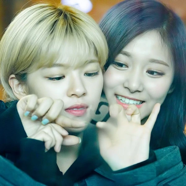 充滿粉絲愛意的TWICE人氣照片