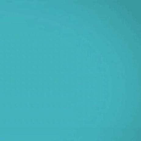 팬들이 뽑은 형원 (몬스타엑스) 최고의 순간