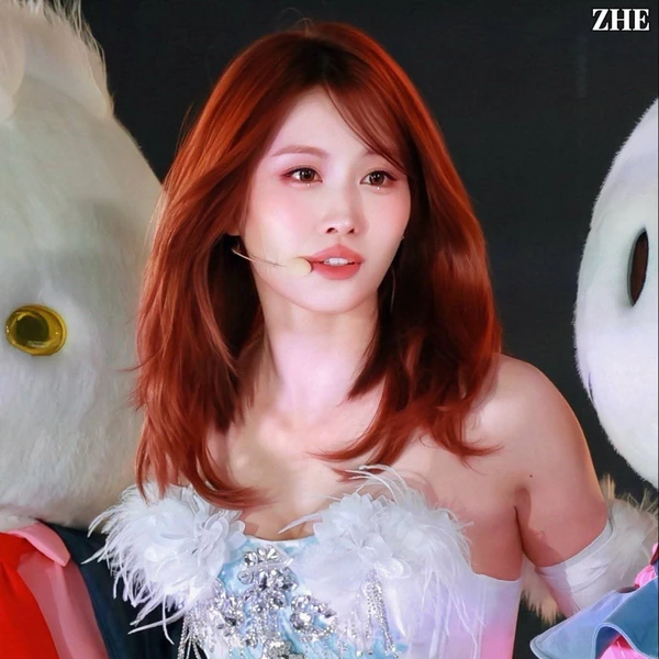 오늘 가장 사랑받은 TWICE의 모습