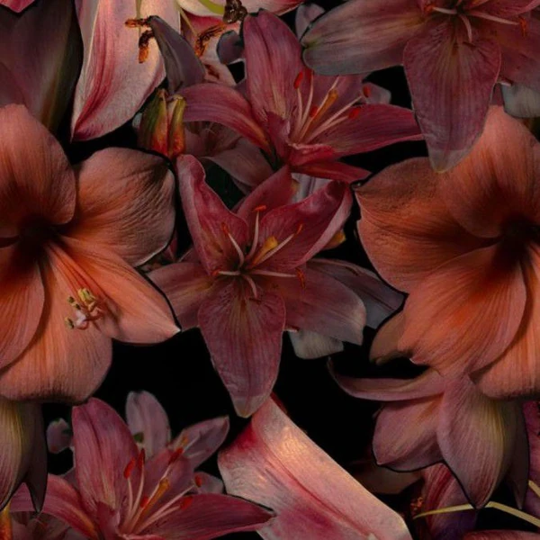 TWICEへの愛が詰まった人気写真