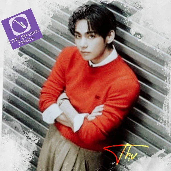 粉丝票选的V (防弹少年团)最佳瞬间