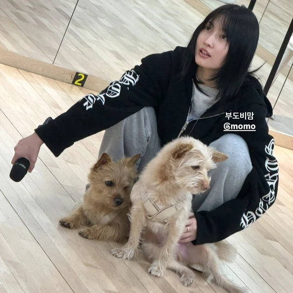 오늘 가장 사랑받은 모모 (TWICE)의 모습