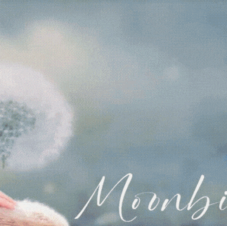 Fans' Pick: Best Moment of Moonbin (ASTRO)