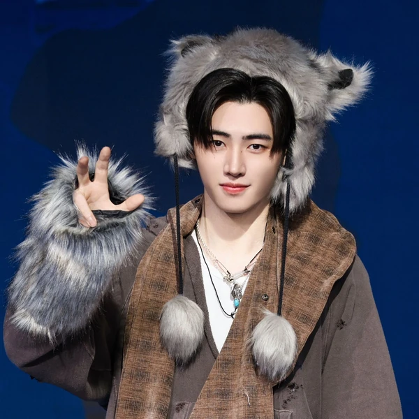 充滿粉絲愛意的ENHYPEN人氣照片