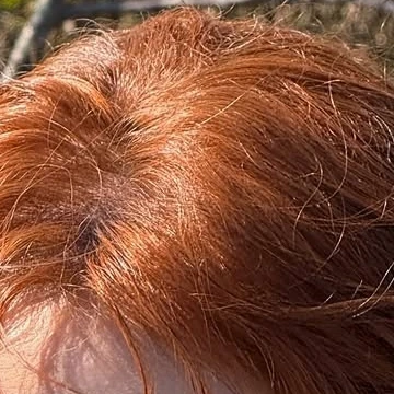 Fans' Pick: Best Moment of Jeong Yein (Lovelyz)