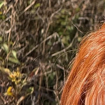 Fans' Pick: Best Moment of Jeong Yein (Lovelyz)