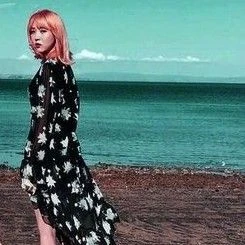 充滿粉絲愛意的MAMAMOO人氣照片