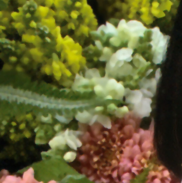 Top Photo Full of HyunJin (Loossemble) Love