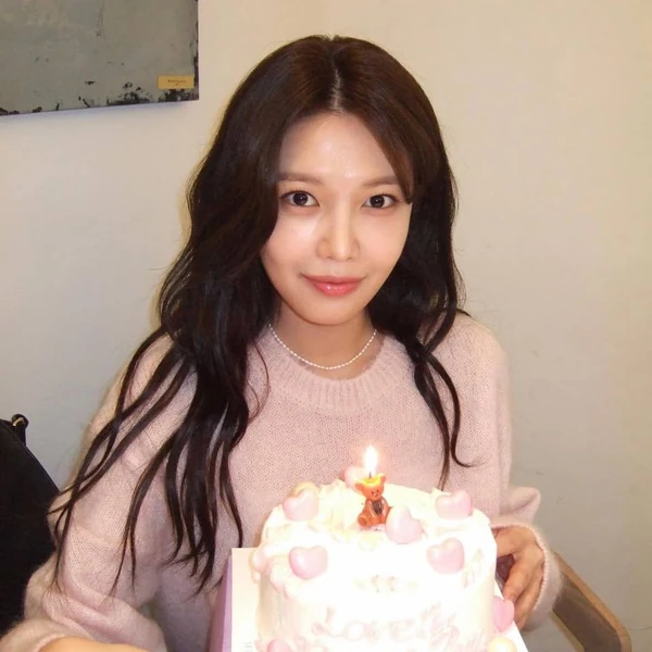 Top Photo Full of Sooyoung (Girls' Generation) Love