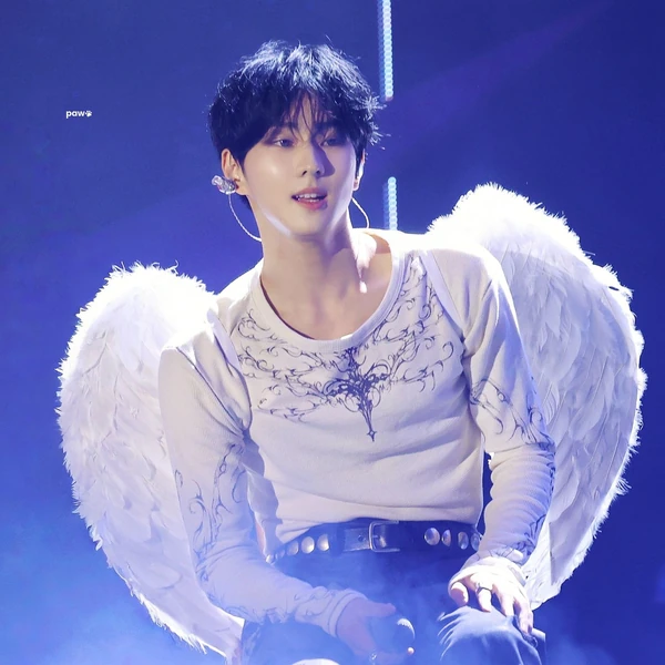 오늘 가장 사랑받은 ENHYPEN의 모습