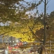 Today's Most Loved Kim Garam