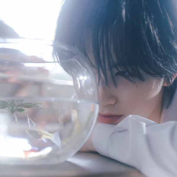 Top Photo Full of Aa (BUS) Love