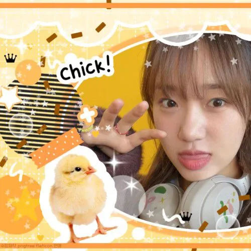 今日最受喜愛的崔有情