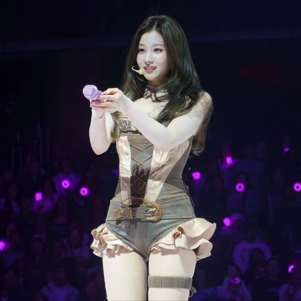 사나 (TWICE) 팬심 가득한 인기 사진