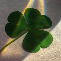 Top Photo Full of THE BOYZ Love