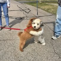 Fans' Pick: Best Moment of THE BOYZ