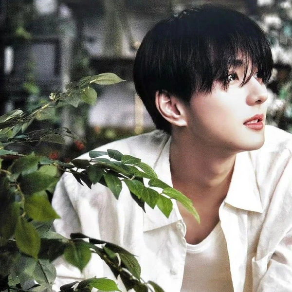 Today's Most Loved Jungwon (ENHYPEN)