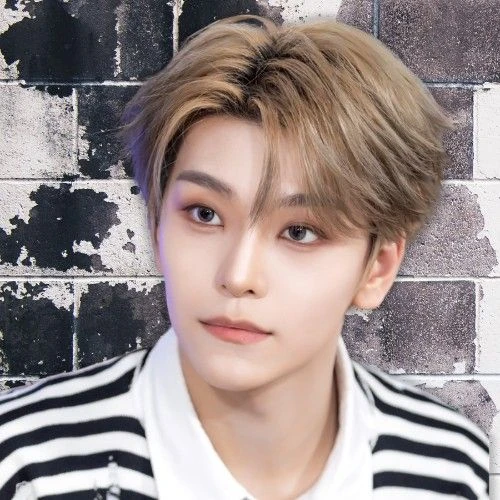 허씬롱 (알파드라이브원) 팬덤이 선택한 최고의 순간