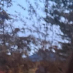 Fans' Pick: Best Moment of Kim Garam