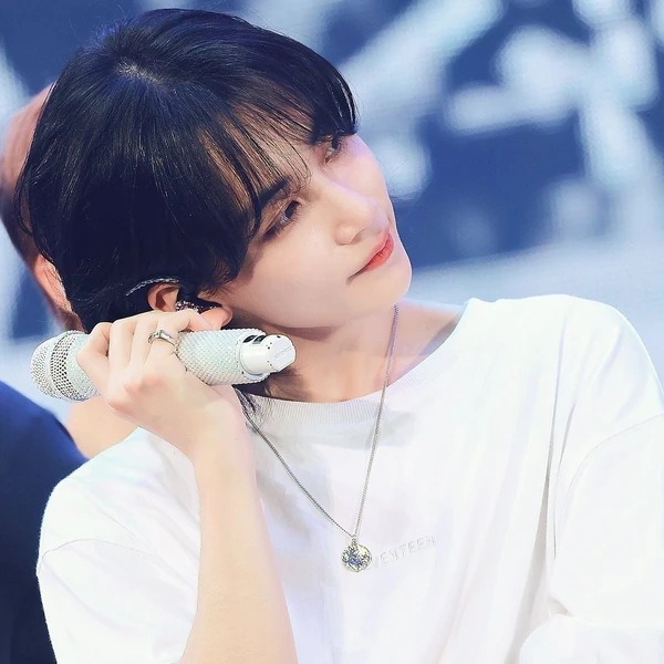 粉絲票選的SEVENTEEN最佳瞬間