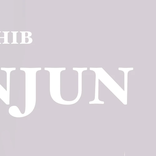 Fans' Pick: Best Moment of Wonjun (WHIB)