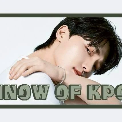 팬들이 뽑은 디노 (세븐틴) 최고의 순간