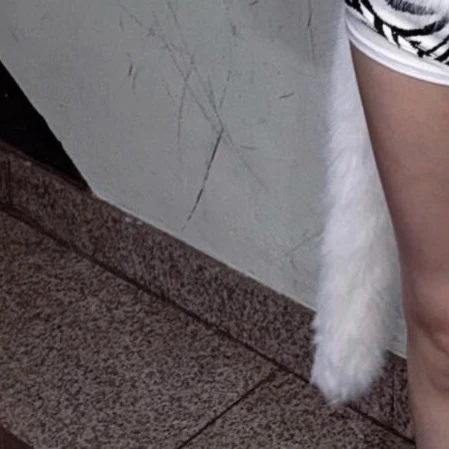 Fans' Pick: Best Moment of Gaeul (IVE)