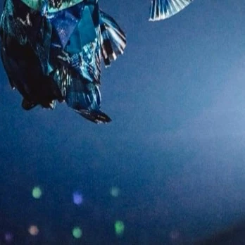 Today's Most Loved Nagao Kento (Naniwa Danshi)