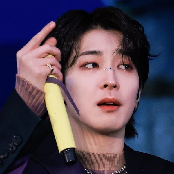 원우 (세븐틴) 팬심 가득한 인기 사진