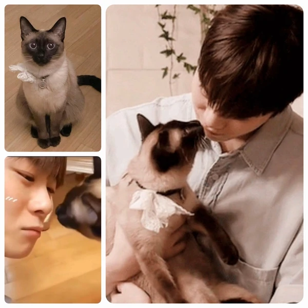 Top Photo Full of Moonbin (ASTRO) Love